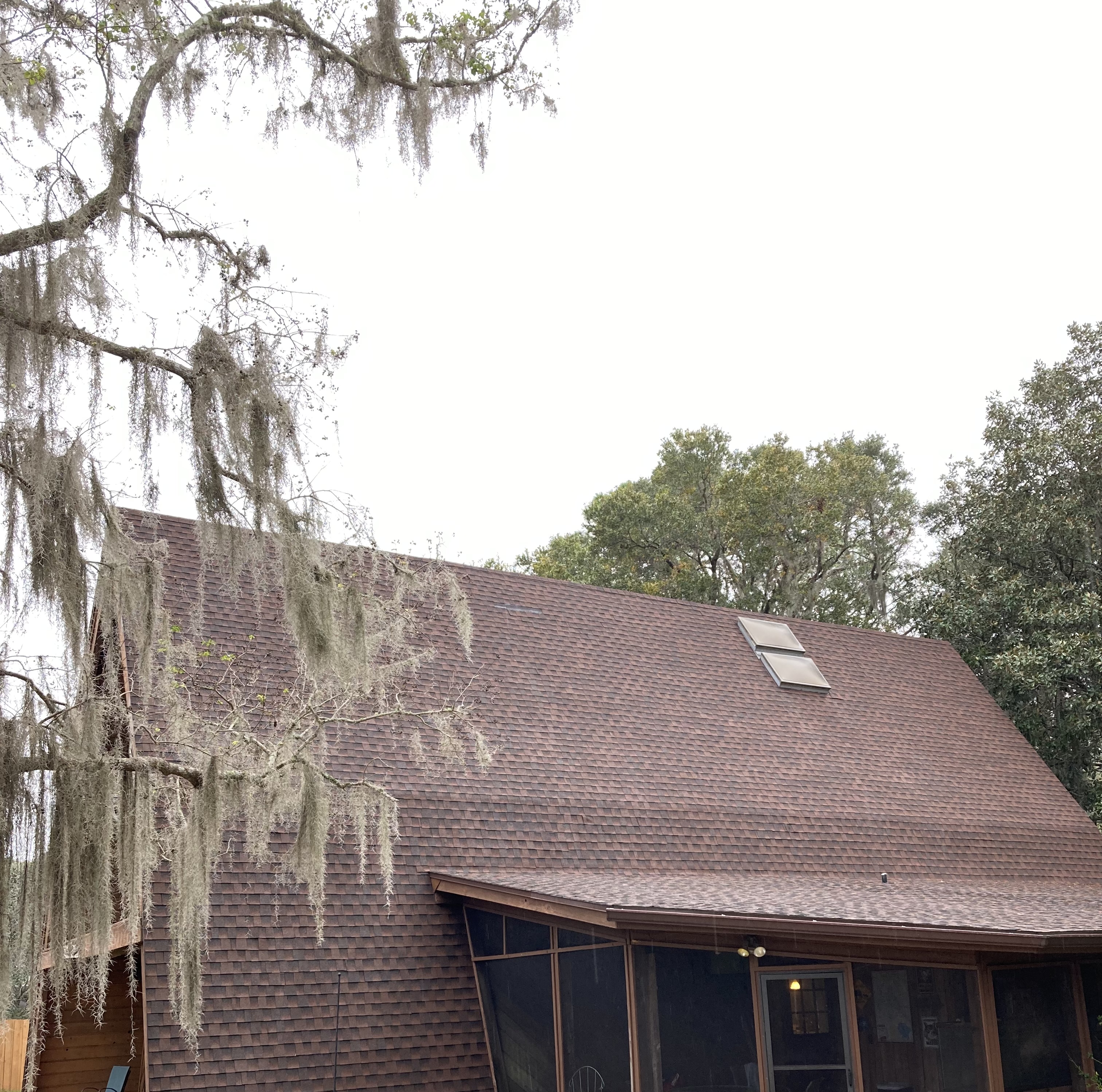 Roof Cleaning - Tavares, FL